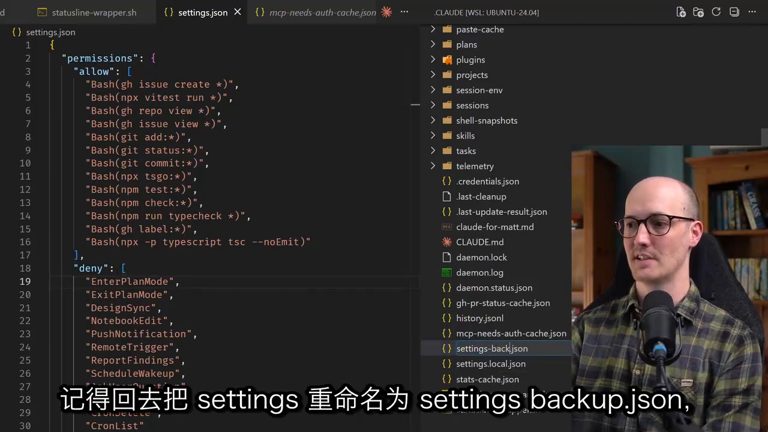 settings.json 权限配置